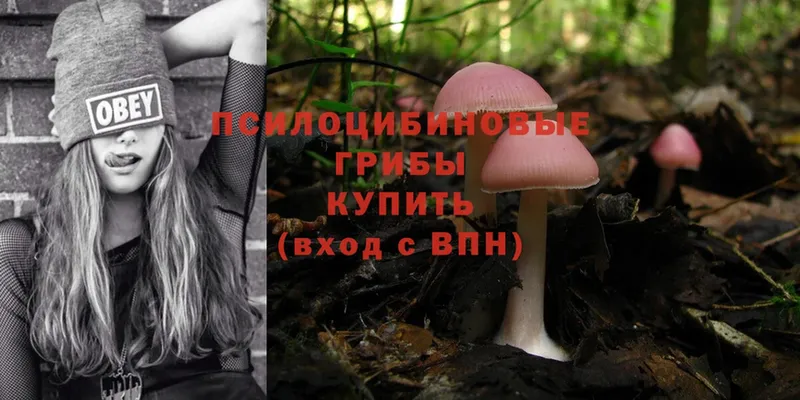 Галлюциногенные грибы Psilocybe  Лагань 