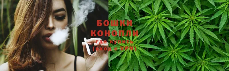 shop телеграм  Лагань  Бошки марихуана OG Kush 